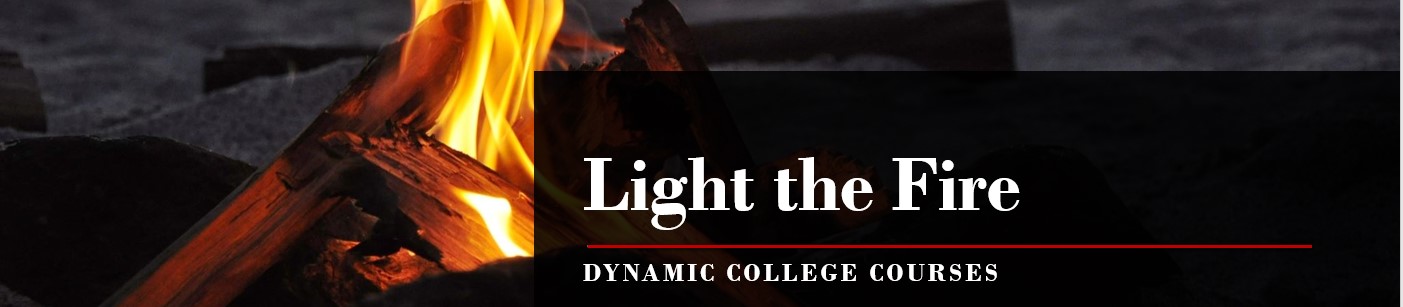 Light the Fire Dynamic Courses