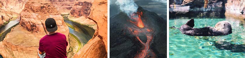 Three photos. Left photo of a canyon; middle photo of a volcano; right photo of an otter.