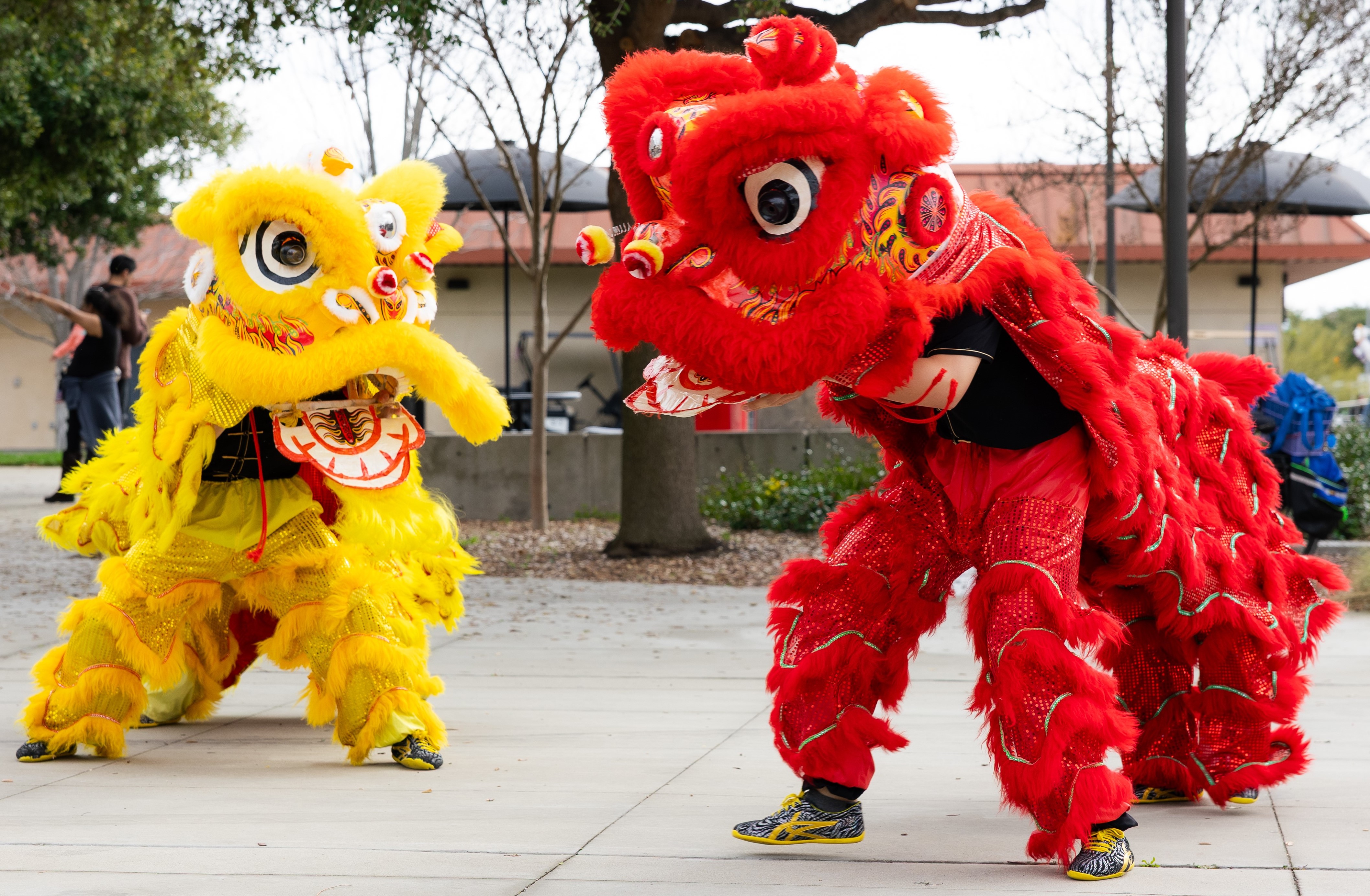 Lunar New Year Festival