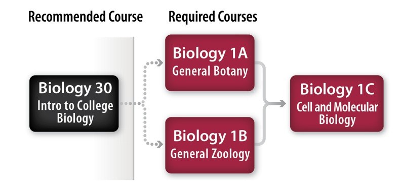 Biology Major and Pre-Professional Pathway