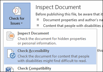 Inspect the document for accessibility.
