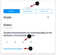 Grading with a rubric